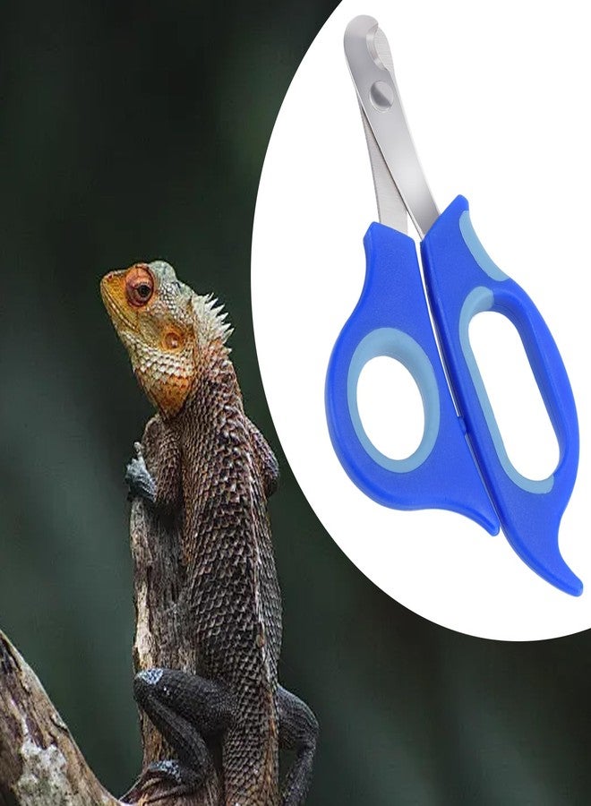 KEUYE Bearded Dragon Nail Clippers,Stainless Steel Bearded Dragon Toe Nail Clippers with Precise Angled Edges (Blue) - Image 5
